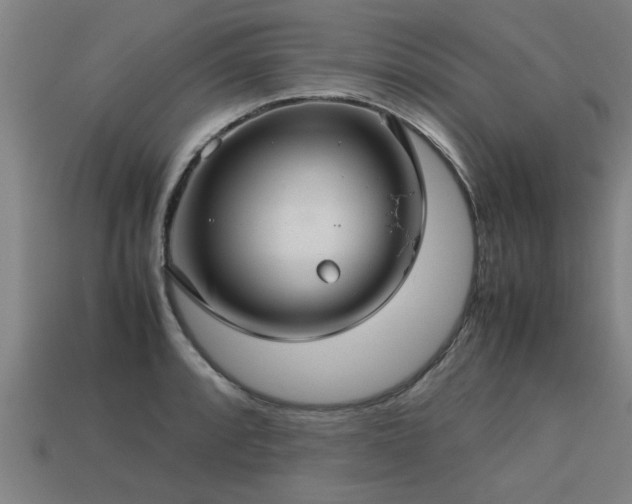 X0000113591088200909251131