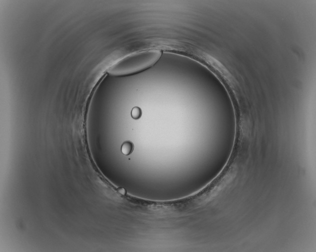 X0000113591089200909251131