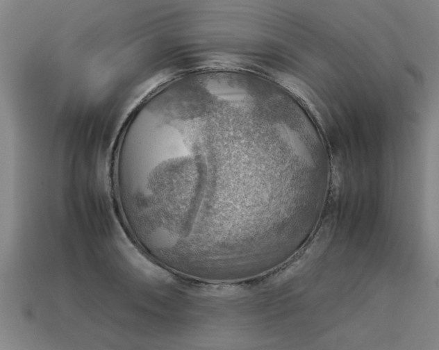 X0000113591090200909251131