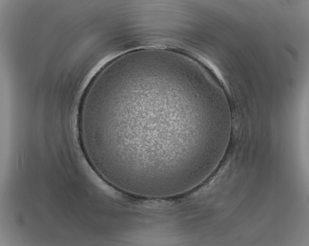 X0000113591091200909251130