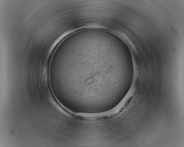 X0000113591092200909251130