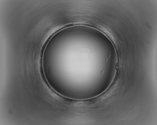 X0000113591093200909251130