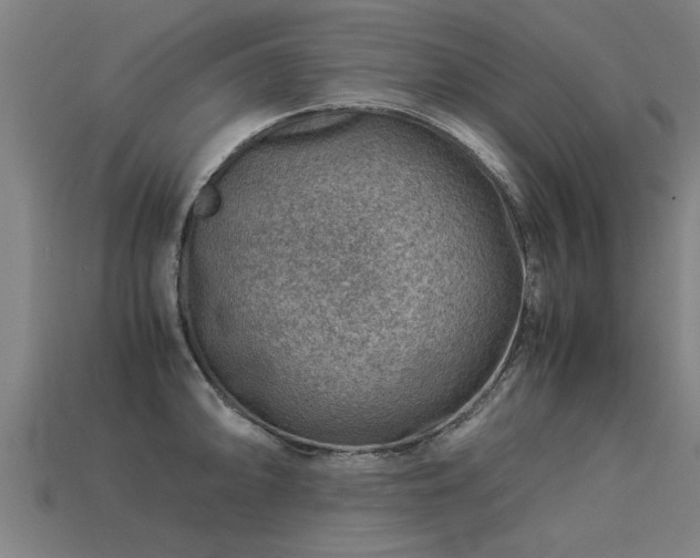 X0000113591094200909251130