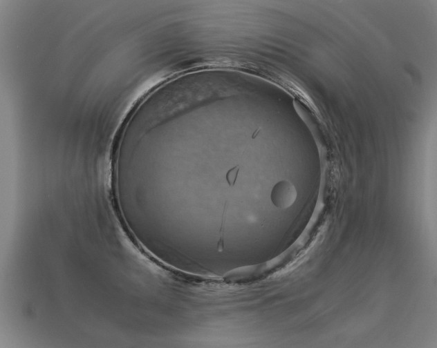 X0000113591095200909251130