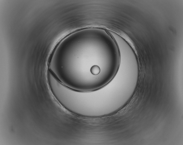 X0000113591096200909251130