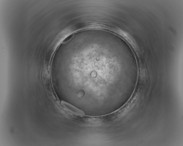 X0000113591097200909251130