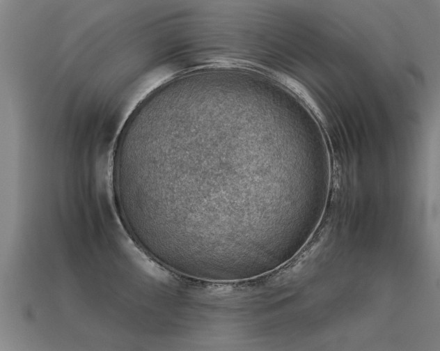 X0000113591098200909251130