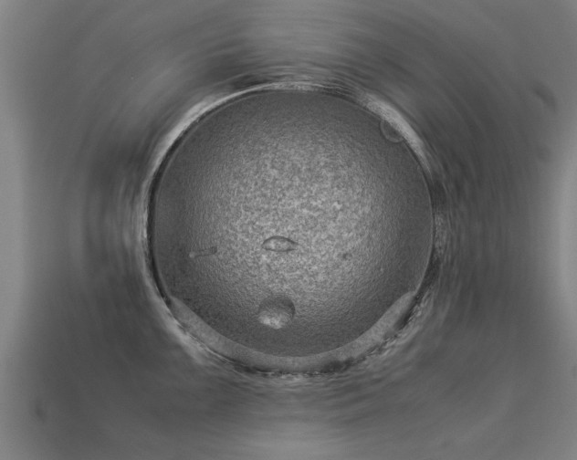 X0000113591099200909251130