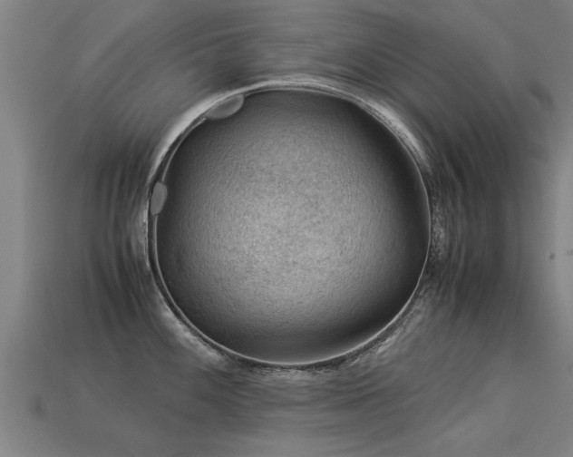 X0000113591100200909251130