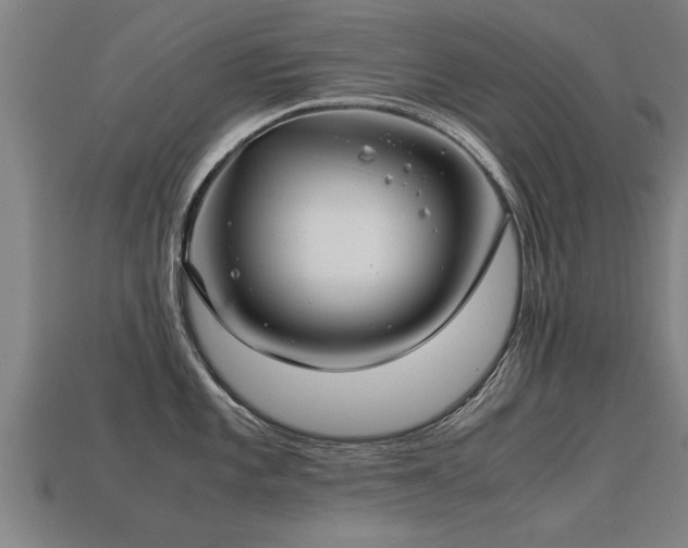 X0000113591101200909251130