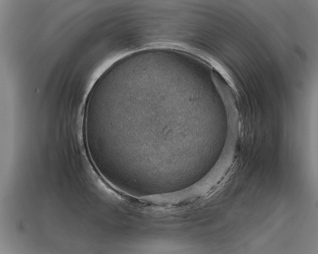 X0000113591102200909251130