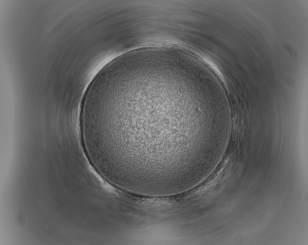 X0000113591103200909251130