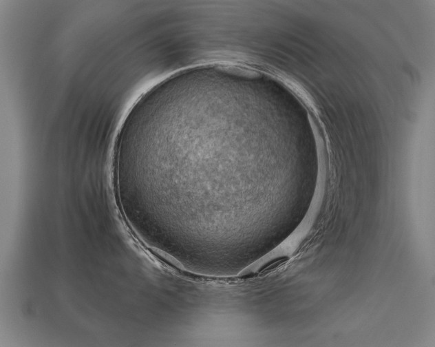 X0000113591104200909251130