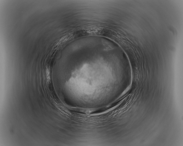 X0000113591106200909251130