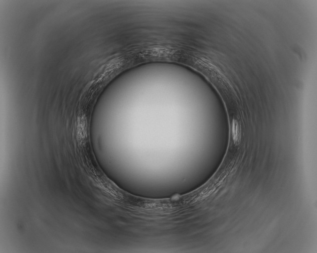 X0000113591107200909251130