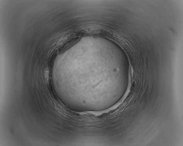 X0000113591108200909251130