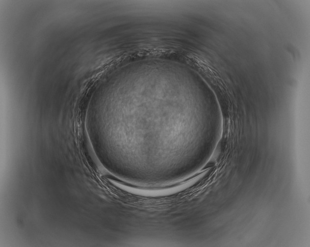 X0000113591109200909251130