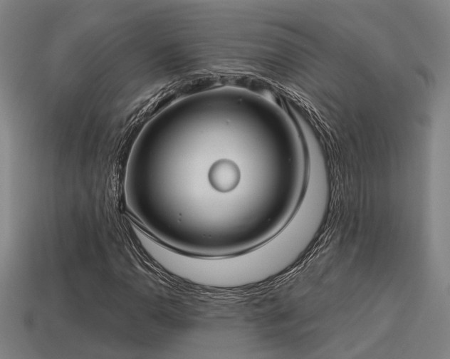 X0000113591110200909251130