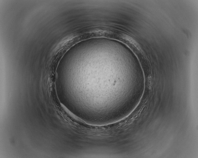 X0000113591111200909251130