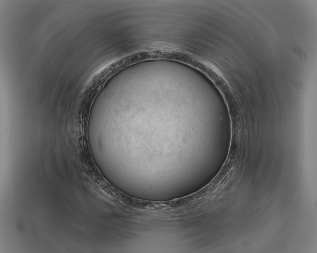 X0000113591112200909251130