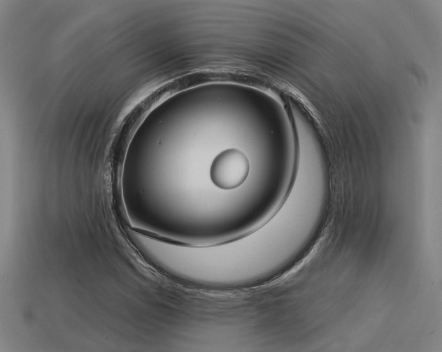 X0000113591114200909251130