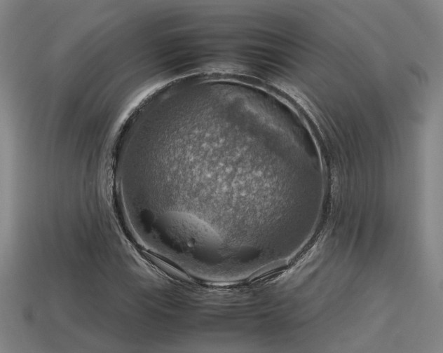 X0000113591115200909251130