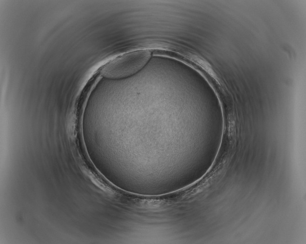 X0000113591116200909251130