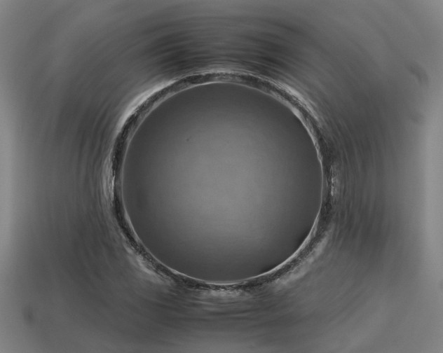 X0000113591117200909251130