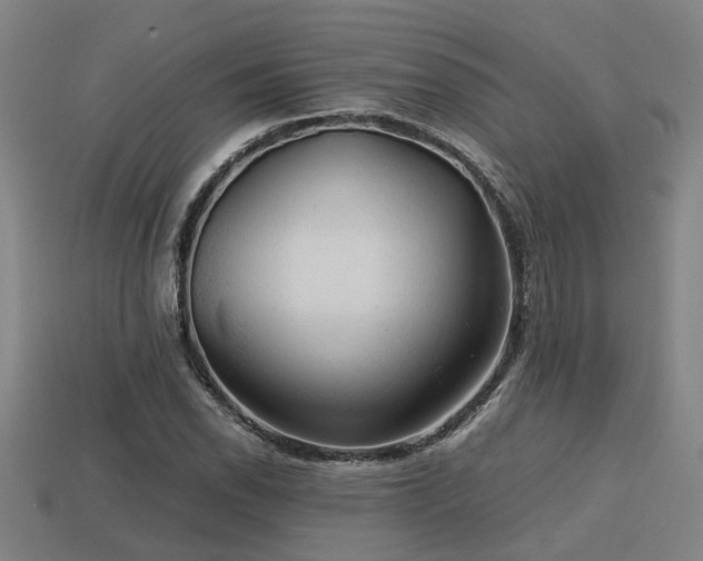 X0000113591118200909251130