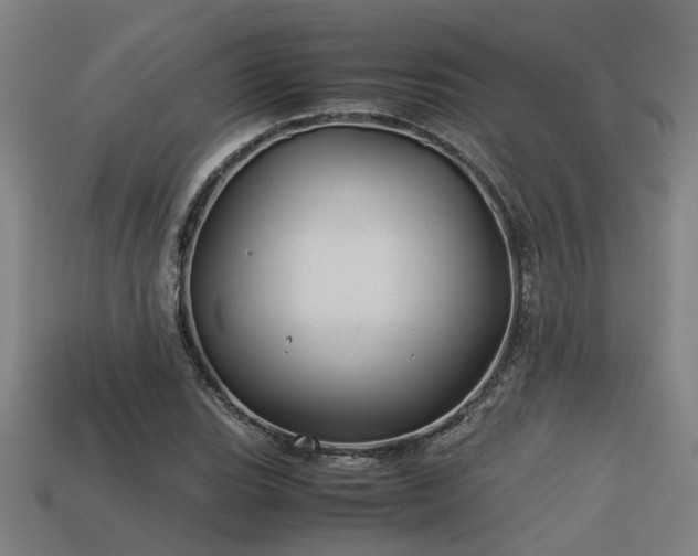 X0000113591119200909251130