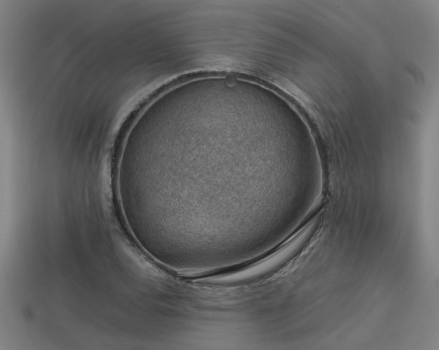 X0000113591120200909251130