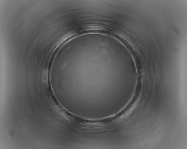 X0000113591121200909251130