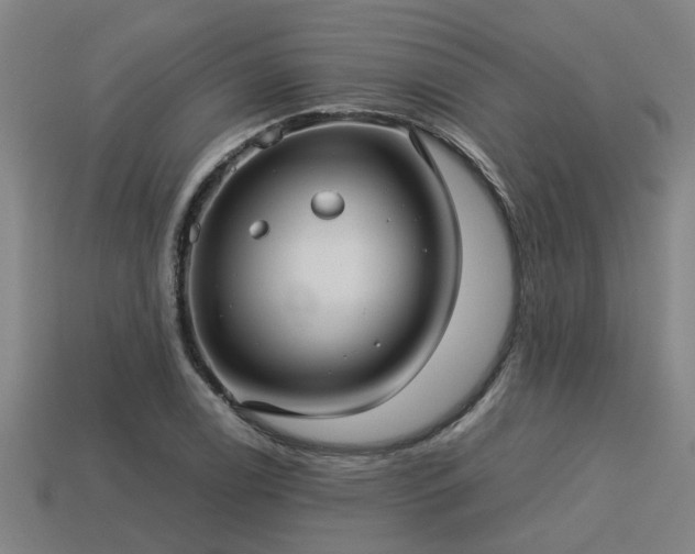 X0000113591122200909251130