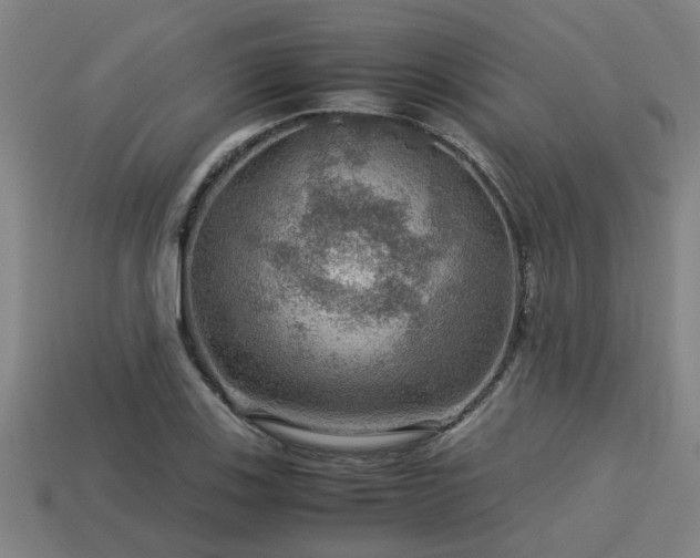 X0000113591123200909251130