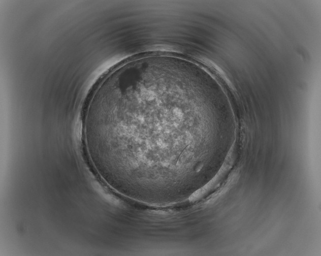 X0000113591125200909251130