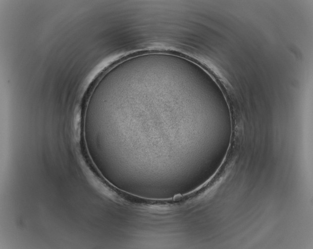 X0000113591126200909251130