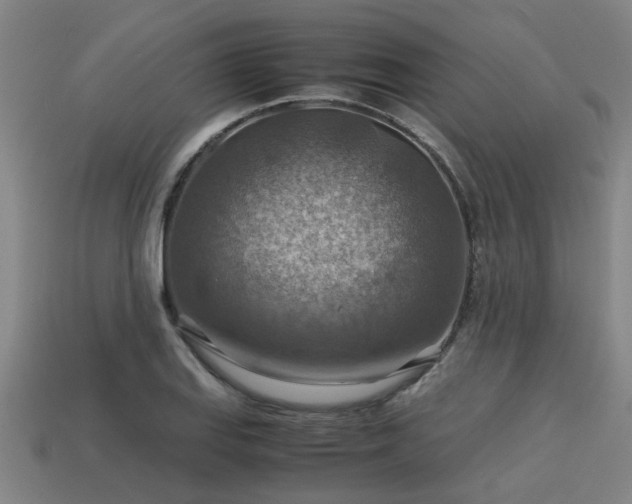 X0000113591127200909251130