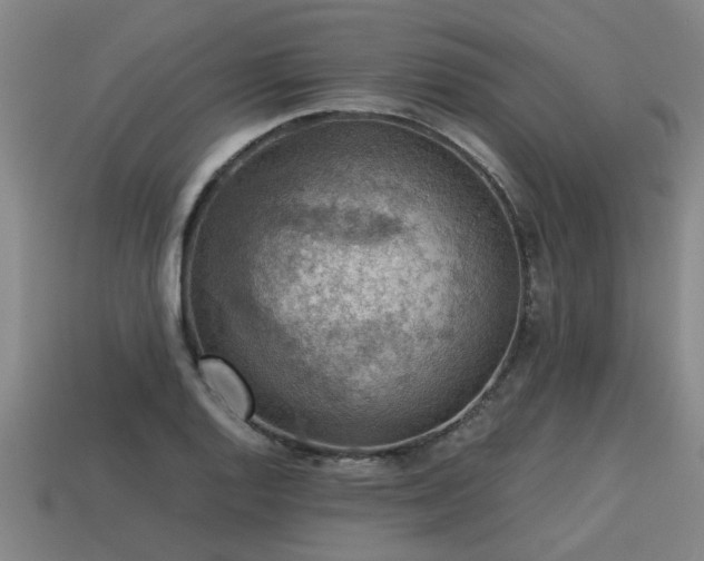 X0000113591128200909251130