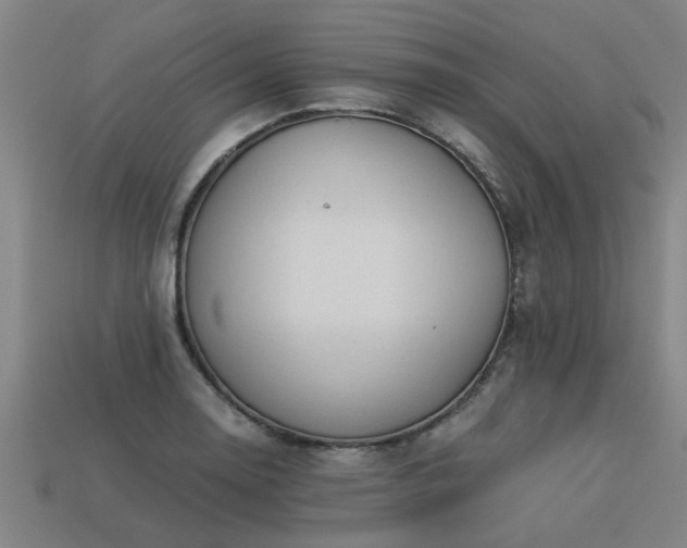 X0000113591130200909251130