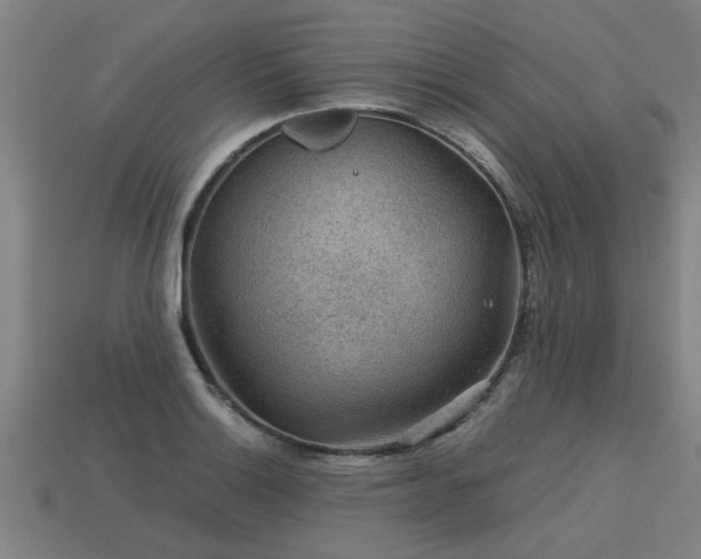 X0000113591132200909251130