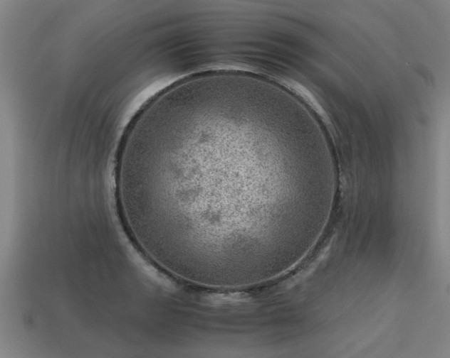 X0000113591133200909251130