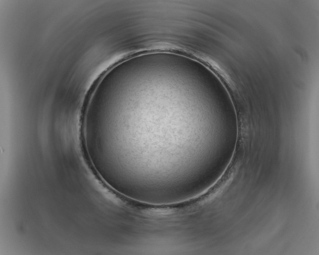 X0000113591134200909251130