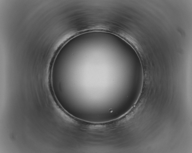 X0000113591135200909251130