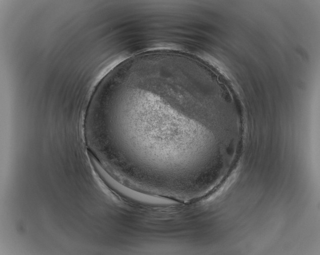 X0000113591137200909251130