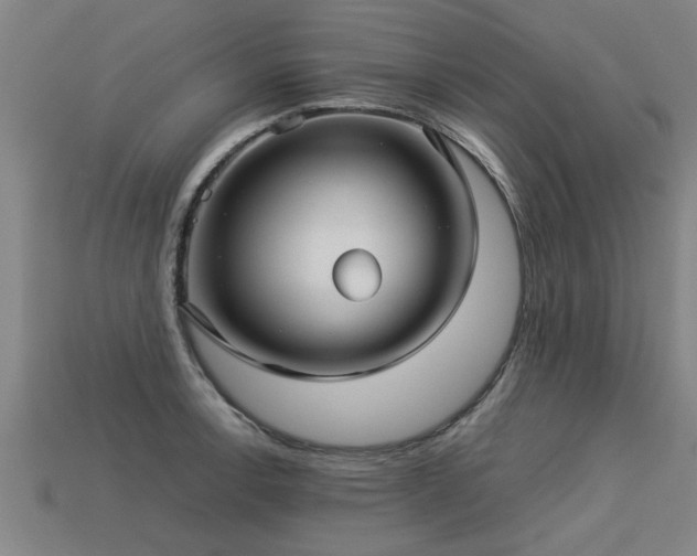 X0000113591138200909251130