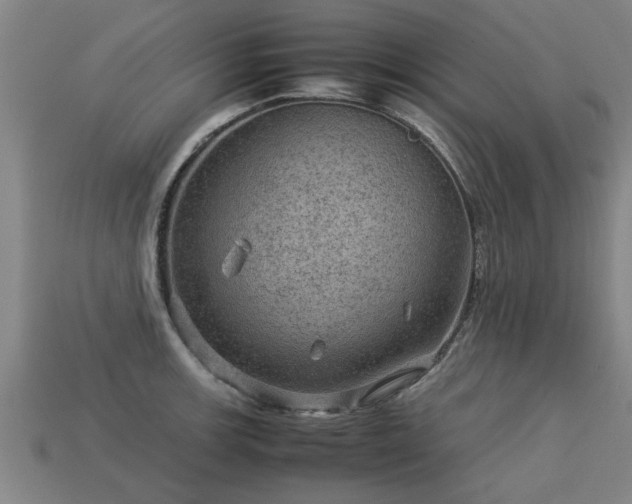 X0000113591139200909251130