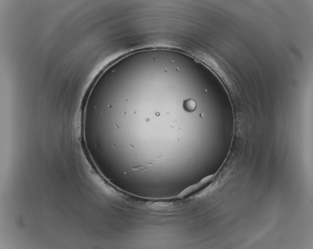 X0000113591140200909251130