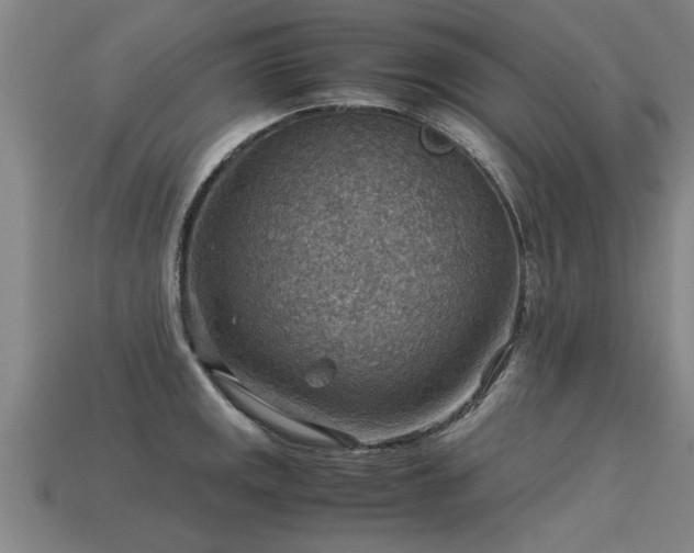 X0000113591141200909251130