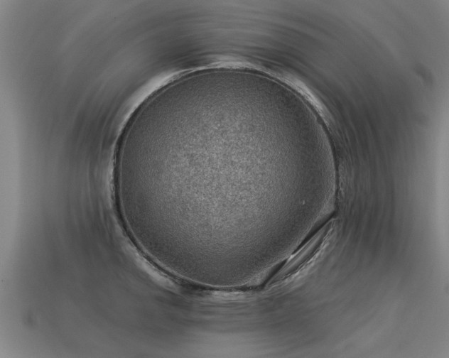 X0000113591142200909251130