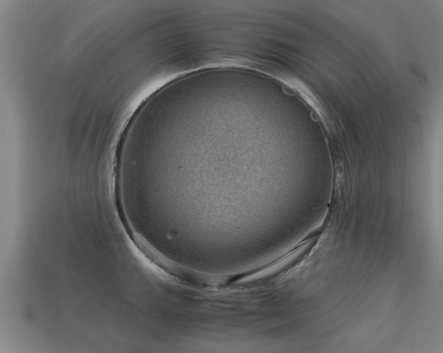 X0000113591143200909251130